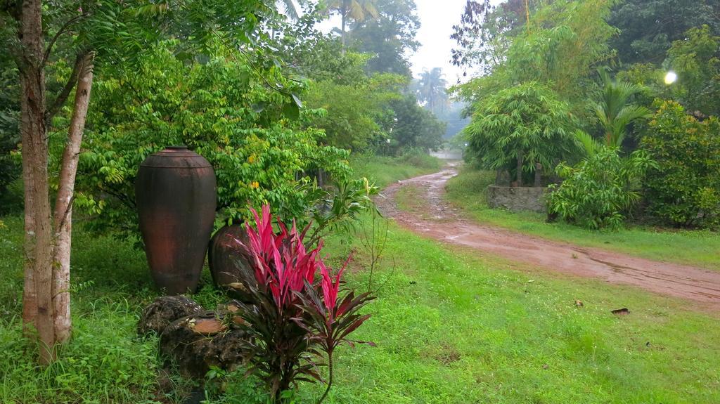 Clayfingers Art Cottage Thrissur Szoba fotó