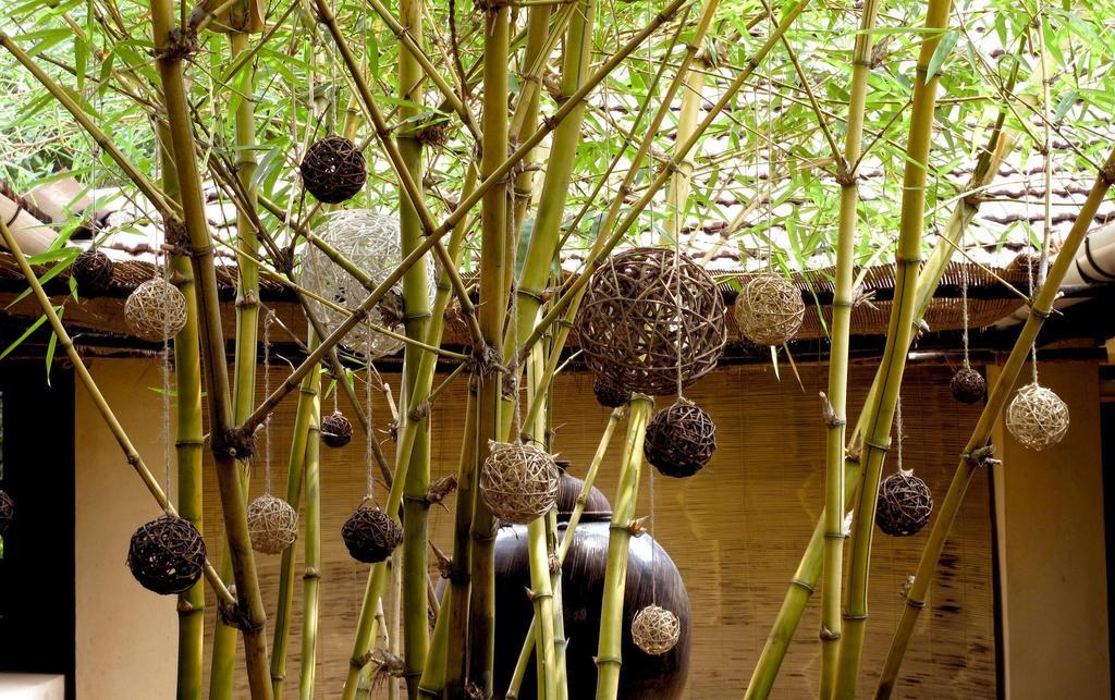 Clayfingers Art Cottage Thrissur Kültér fotó