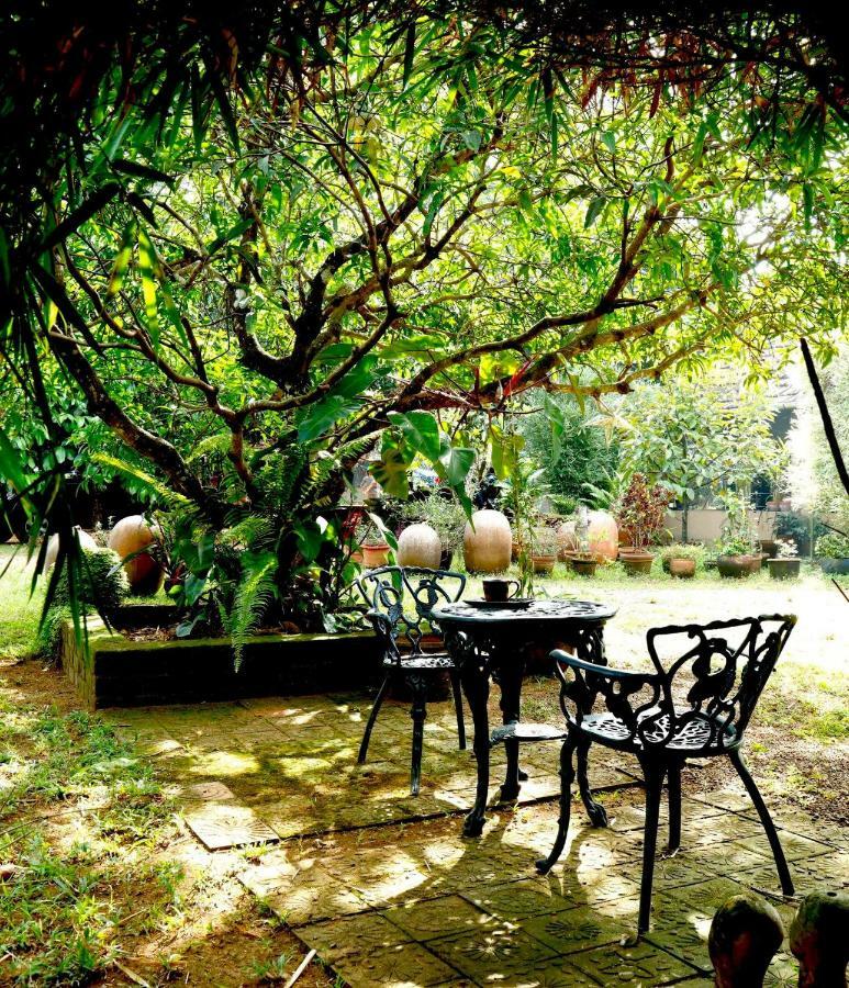 Clayfingers Art Cottage Thrissur Kültér fotó