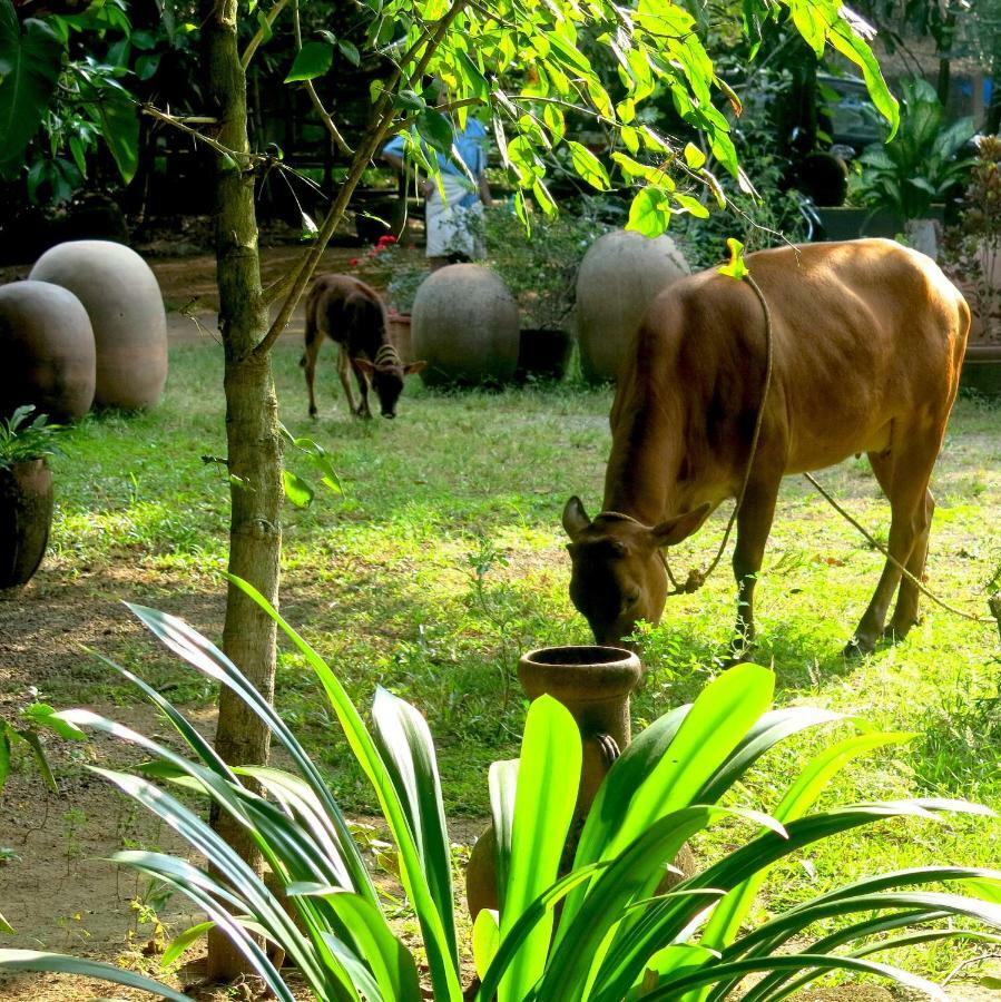 Clayfingers Art Cottage Thrissur Kültér fotó