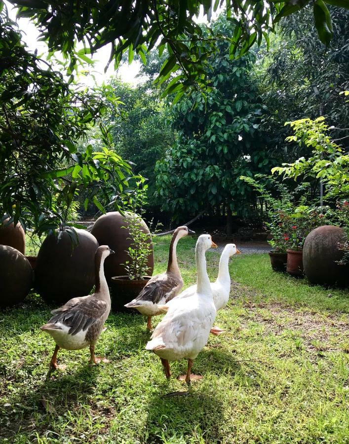 Clayfingers Art Cottage Thrissur Kültér fotó